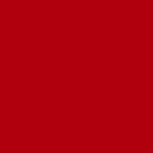 ORACAL Matt Sticker Red~GO651M 031