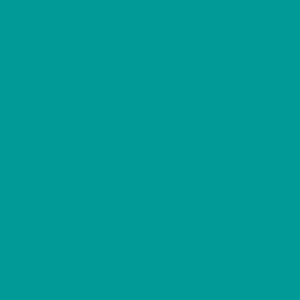 ORACAL Matt Sticker Turquoise~GO651M 054